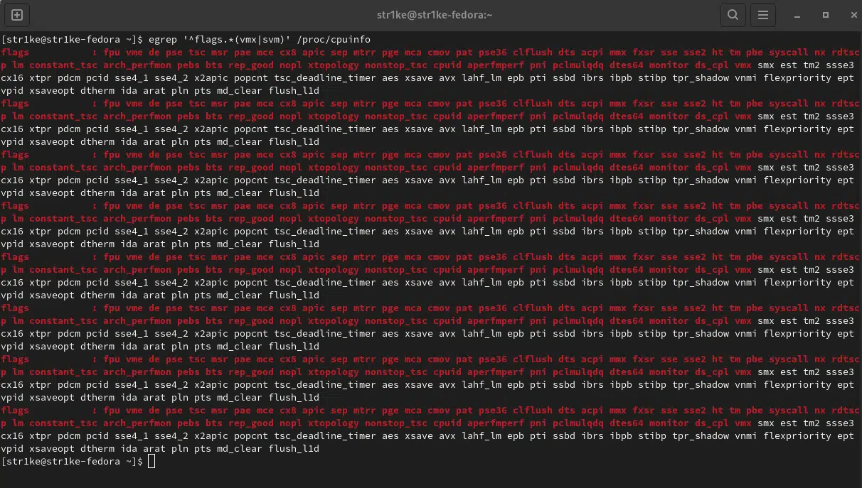 Resultado egrep '^flags.*(vmx|svm)' /proc/cpuinfo
