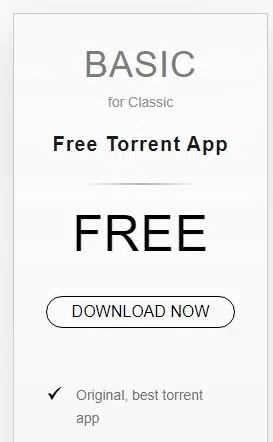 Download Now BitTorrent